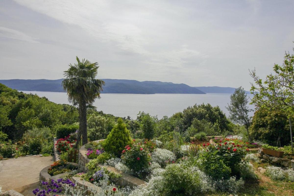 Villa Paradiso In Plomin - Istrien エクステリア 写真